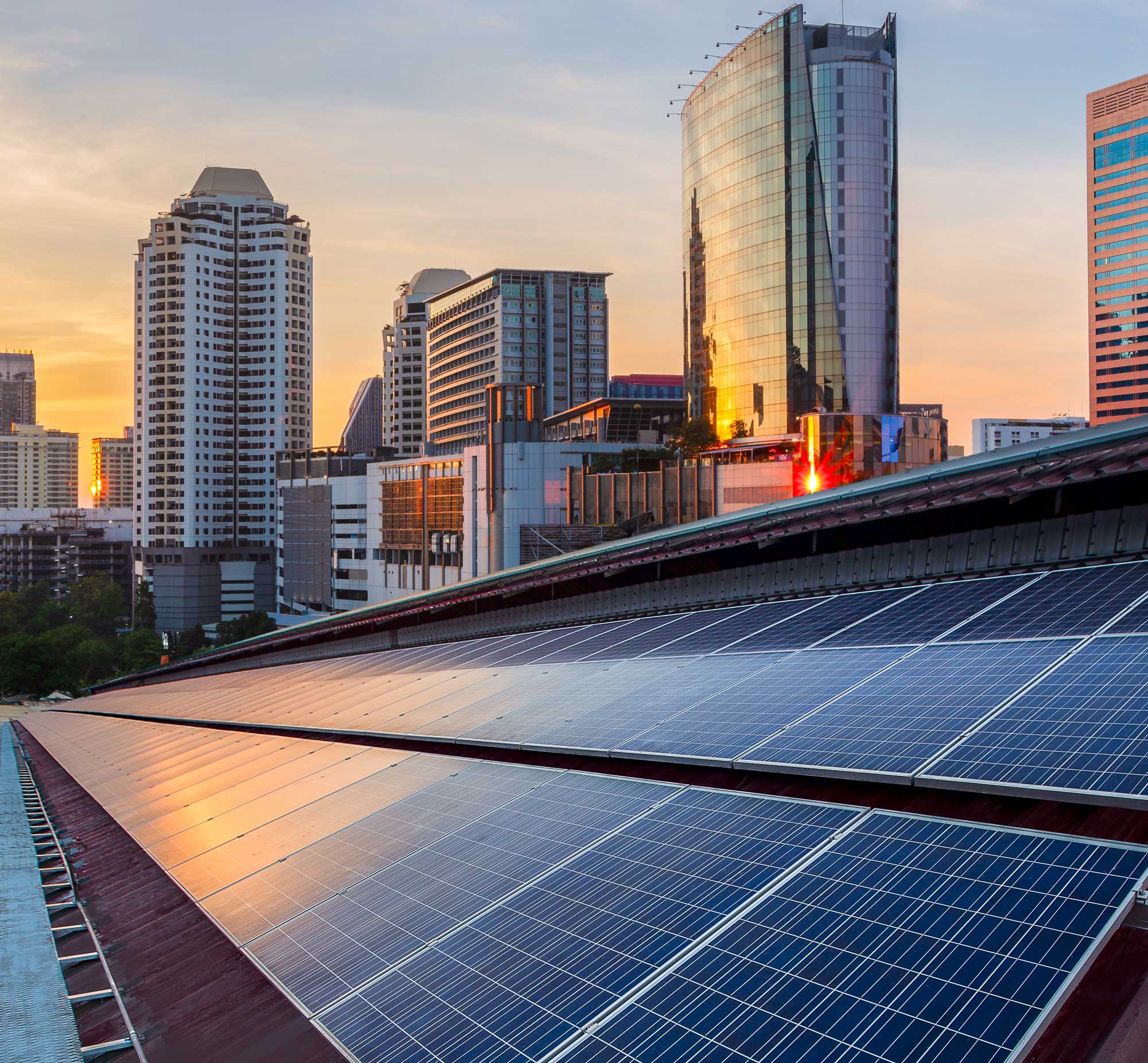 Want to Discuss Your Next Project? Talk With Our Team Today.